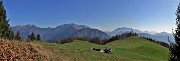 50 Verde pianoro pascolivo di Baita Campo (1442 m) con vista da sx in Pietra Quadra-Menna-Alben